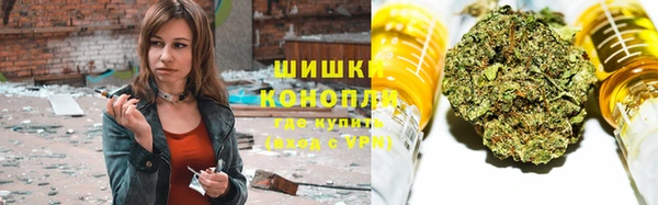тгк Абаза