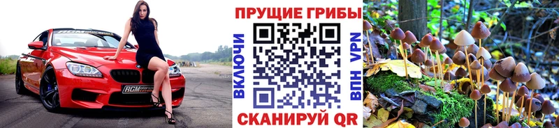 Псилоцибиновые грибы Cubensis Железноводск