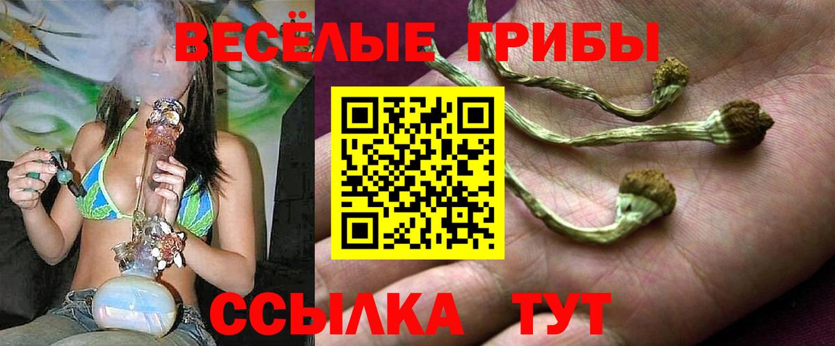 Псилоцибиновые грибы мицелий  Псилоцибиновые грибы ЛСД  Железноводск  Вход с VPN 