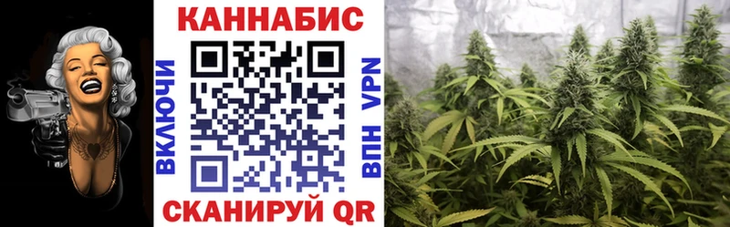 Конопля планчик  где купить наркотик  Железноводск 